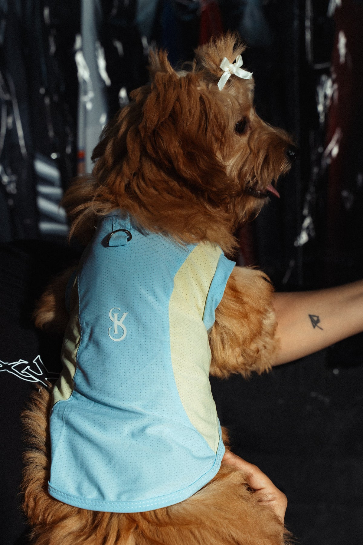 “LovyPup”